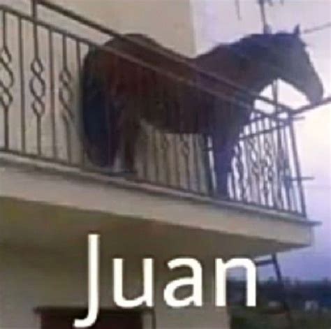 Memes Juan - Meme Bilder