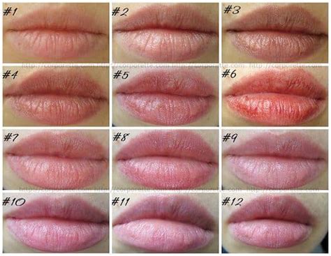 Tinted Lip Balms -- Swatches, Reviews, and More, Oh My!