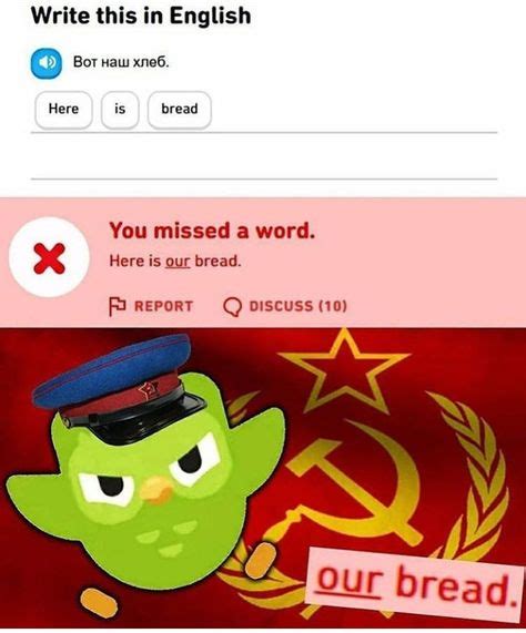 Angry Duolingo noises (With images) | Haha funny, Funny memes, History ...