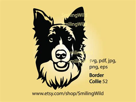 Border Collie Dog Svg Face Vector Clip Art, Border Collie Illustration ...