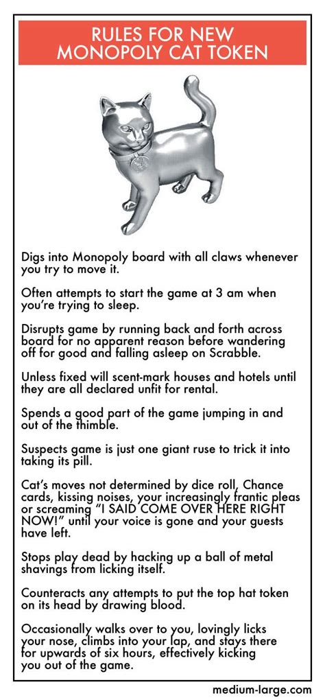 Rules for the New Monopoly Cat Token | Cats, Crazy cats, Cats meow