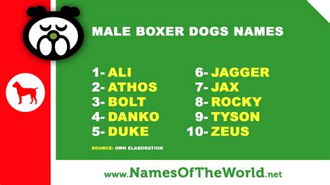 10 male boxer dogs names