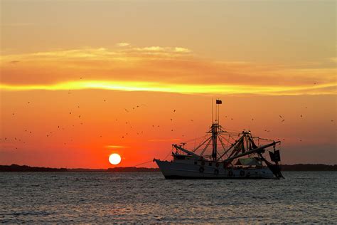 Fishing Boat At Sunset by Tshortell