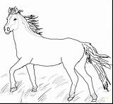 Horse Herd Coloring Pages sketch template