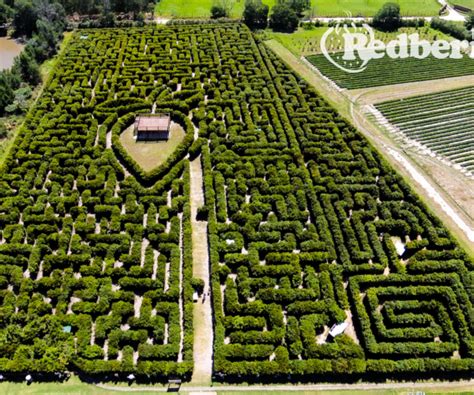 Hedge Maze | Activities | Redberry Farm Adventure Guide, Greatest Adventure, South Africa Map ...