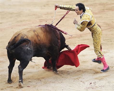 Bull Fighting: Bull Fighting In Spanish