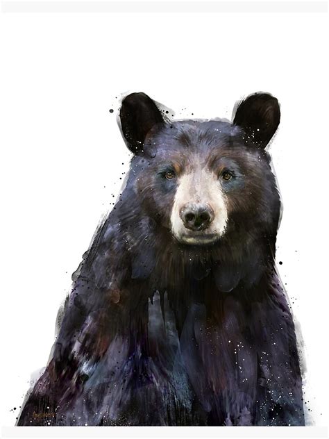 "Black Bear" Poster for Sale by AmyHamilton | Redbubble