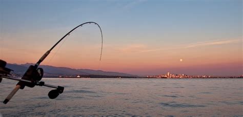 Fishing Poles For Beginners | 10 Beginner Rods For Newbie Anglers