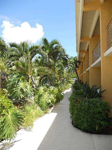 HAMPTON INN KEY LARGO $132 ($̶1̶7̶2̶) - Updated 2021 Prices & Hotel Reviews - FL - Tripadvisor