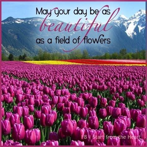 May Your Day Bloom Like Beautiful Flowers