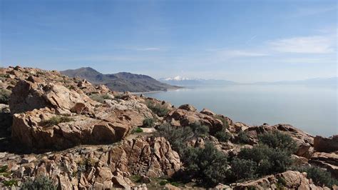 Antelope Island & The Great Salt Lake | Antelope island, Colorado, Utah