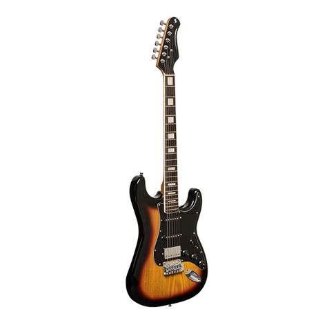 Electric Guitar Price in Nepal | Buy Electric Guitar Online at Treasure ...