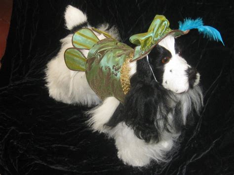 The Devereaux Renaissance Dog Costume