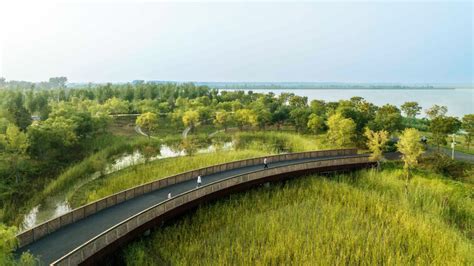 Baiyangdian Waterfront Park / TLS Landscape Architecture | ArchDaily