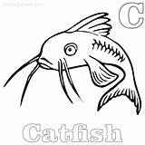Catfish Coloring Pages Printable Free PDF  Coloringfoldercom sketch template