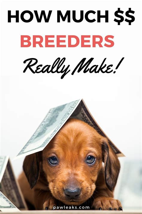 How Much Do Dog Breeders Make? [SURPRISING Real Salary] in 2021 | Dog ...