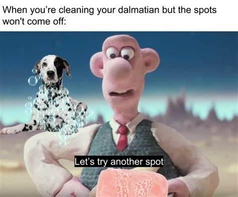 wallace and gromit memes are rising : r/memes