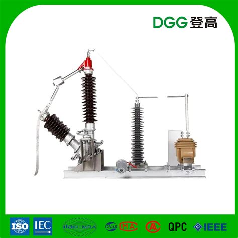 Dgnpd - Type Transformer Neutral Point Grounding Protection Device - China 12kv and Vacuum Breaker