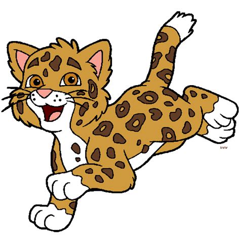 Jaguar Animal PNG Images Transparent Free Download