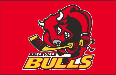 Belleville Bulls Jersey Logo | Bull, Belleville, Hockey logos