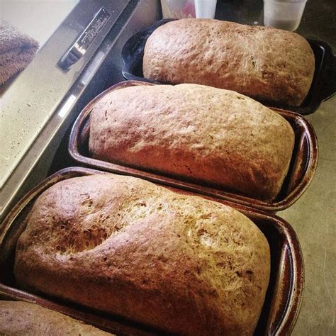 Low sodium whole wheat bread, as 2 loaves or 12 rolls. Made with no salt and whole wheat for a ...