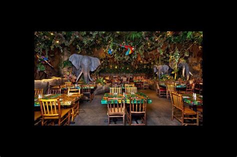 Rainforest: Reservations Rainforest Cafe Downtown Disney