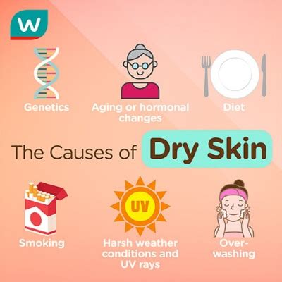 Skincare Tips for Dry Skin | Watsons Malaysia