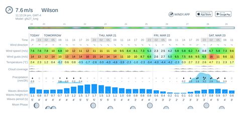 Weather forecast Wilson: today, tomorrow, 10 days