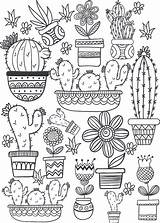Cactus and Succulent Printable Adult Coloring Pages sketch template