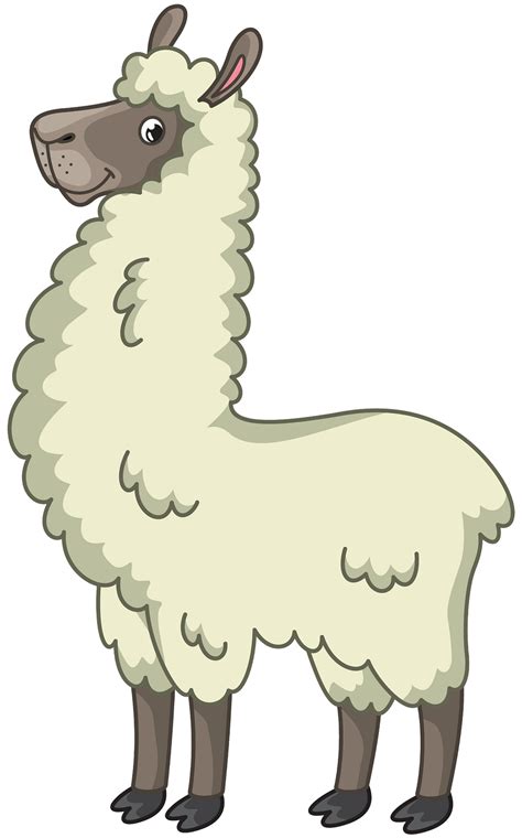 Cartoon Llama Clipart - Koplo Png