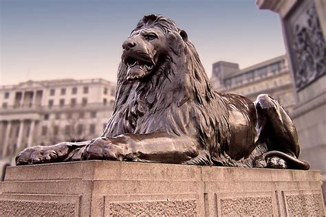 London-Trafalgar Square lion statue | Lion statue beside the… | Flickr