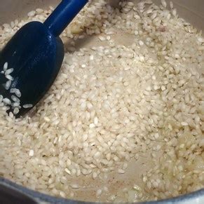 Dried Mushroom Risotto | the chef mimi blog