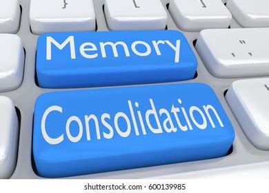 344 Memory Consolidation Images, Stock Photos & Vectors | Shutterstock