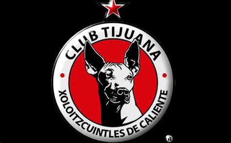 Estrenan Xolos de Tijuana escudo - Mediotiempo