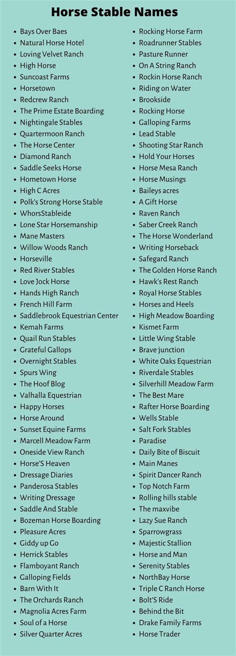 Horse Business Names: 600+ Catchy Horse Stable Names