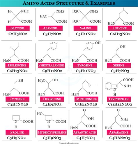 Amino Acids Definition, Formula, Structure, Types, Examples, 45% OFF