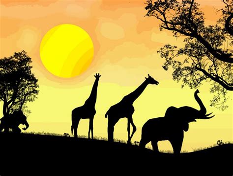 African safari (28367) Free EPS Download / 4 Vector