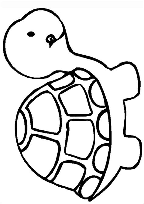 Search for Turtle drawing at GetDrawings.com