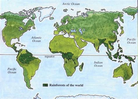 Map of Rainforests of the world. | Rainforest map, Rainforest, Where is ...