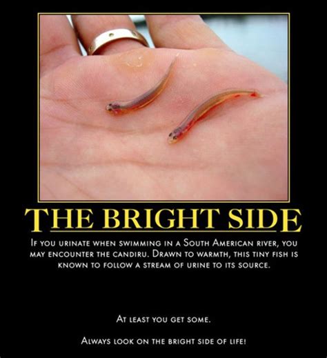 Always Look on the Bright Side of Life - Very Demotivational ...