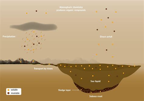 The habitability of Titan and its ocean