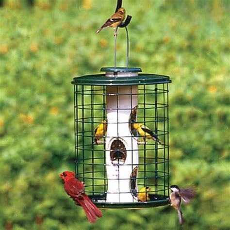 Shop WoodLink Heavy Duty Metal Squirrel-Resistant Tube Bird Feeder at Lowes.com