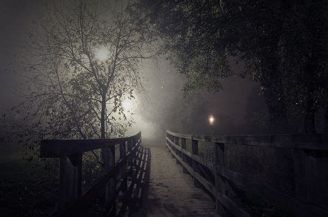 Night Bridge | Landscape photos, Misty forest, Beautiful landscapes