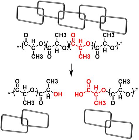 Degradation of polymers | Energy Frontier Research Center