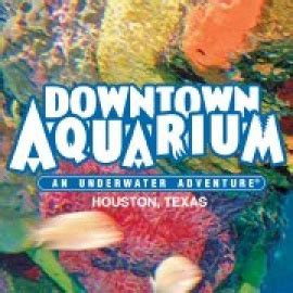 Downtown Aquarium - Houston - Travel - Theater District - Houston