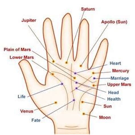 Life Line Palm: What Does Yours Mean? Here's How To Interpret It