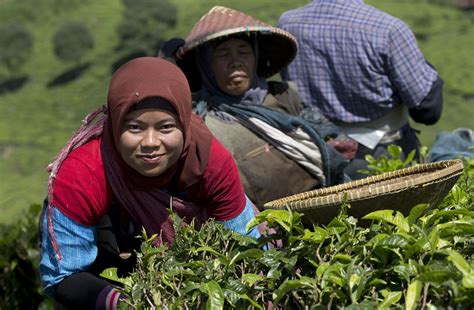 Indonesia - Starbucks Canada