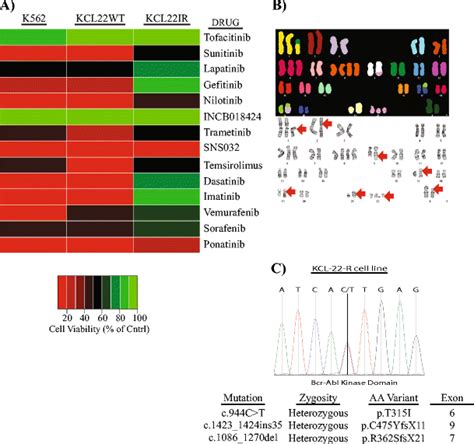 Sensitivity of imatinib-resistant T315I BCR-ABL CML to a synergistic combination of ponatinib ...