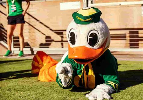 The Proud Origins Of College Mascot Names - Everything After Z by ...