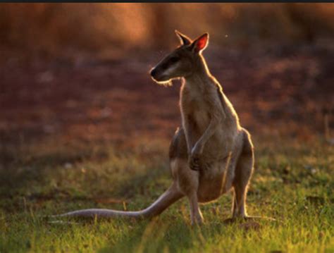 Kakadu National park - Diverse Australia